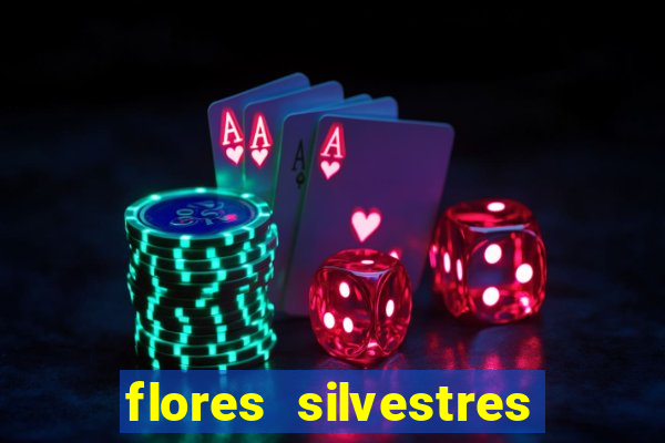 flores silvestres desbravadores desbravadores 25